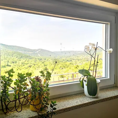 Apartman Apartma Ceh *